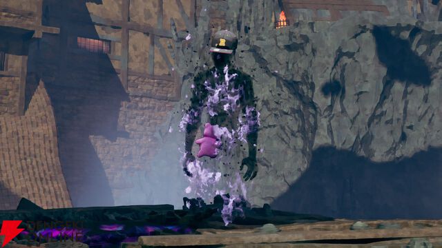 『Stupid Never Dies』