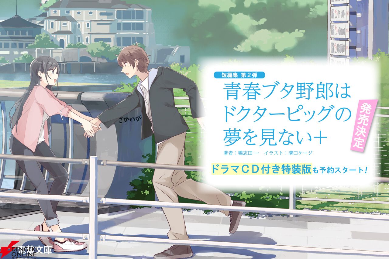 『青春ブタ野郎はドクターピッグの夢を見ない＋』