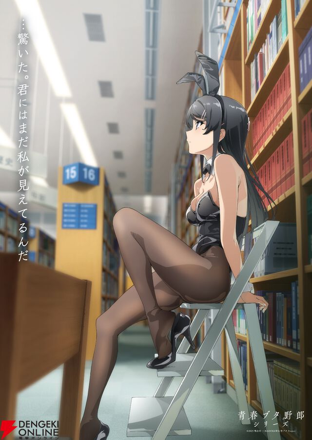 『青春ブタ野郎はディアフレンドの夢を見ない』