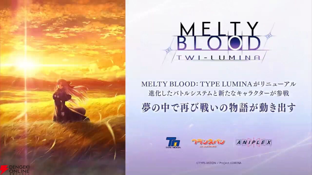 月姫リメイク、メルブラ 初回限定盤等々 メルティブラッド 初回限定盤 初回限定版Switch版MELTY BLOOD :TYPE