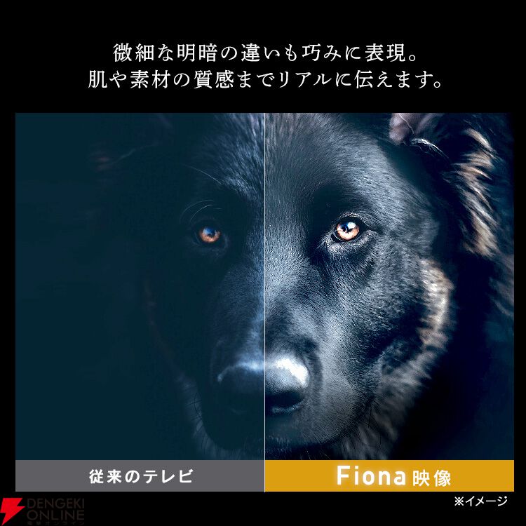 アイリスオーヤマFiona（フィオナ）の高機能55インチ4Kテレビ