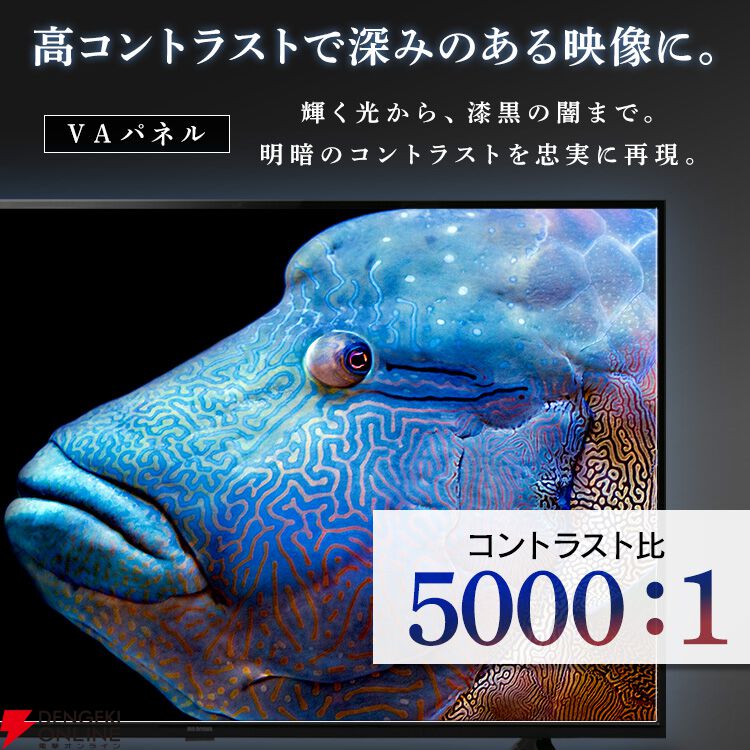 アイリスオーヤマFiona（フィオナ）の高機能55インチ4Kテレビ“55UB10PC”が50％OFFで4万円切り！【楽天スーパーセール】 -  電撃オンライン