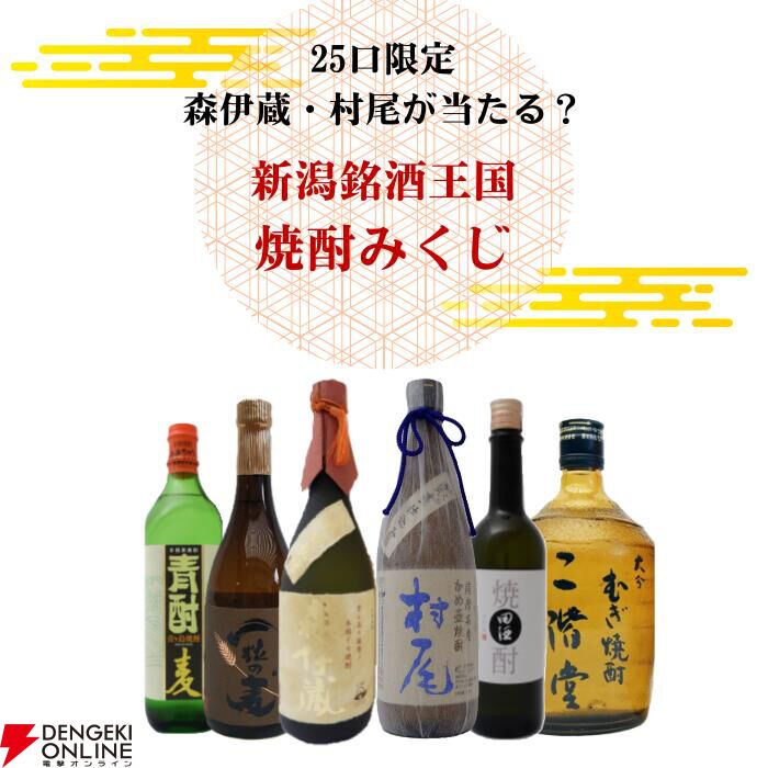 ANA 焼酎　村尾　2本セット 村尾 薩摩名産かめ壺焼酎 750ml 2本セット ANA全日空機内販売限定品