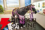美少女に競馬にサッカー！『ヨグ＝ソトースの庭』など多彩な6タイトルが試遊可能【BitSummit PUNCH：松竹ゲームズブース】