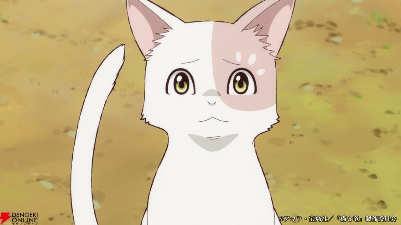 夏アニメ『猫と竜』7/4放送開始。猫竜と人間の関わりが伝わる第1弾PVで葉猫、王子、国王のボイスも解禁
