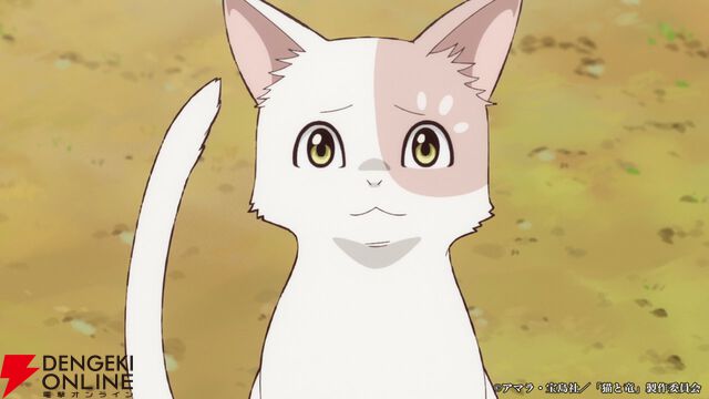 夏アニメ『猫と竜』7/4放送開始。猫竜と人間の関わりが伝わる第1弾PVで葉猫、王子、国王のボイスも解禁