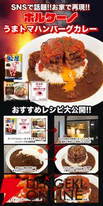 『うまトマハンバーグ12食』