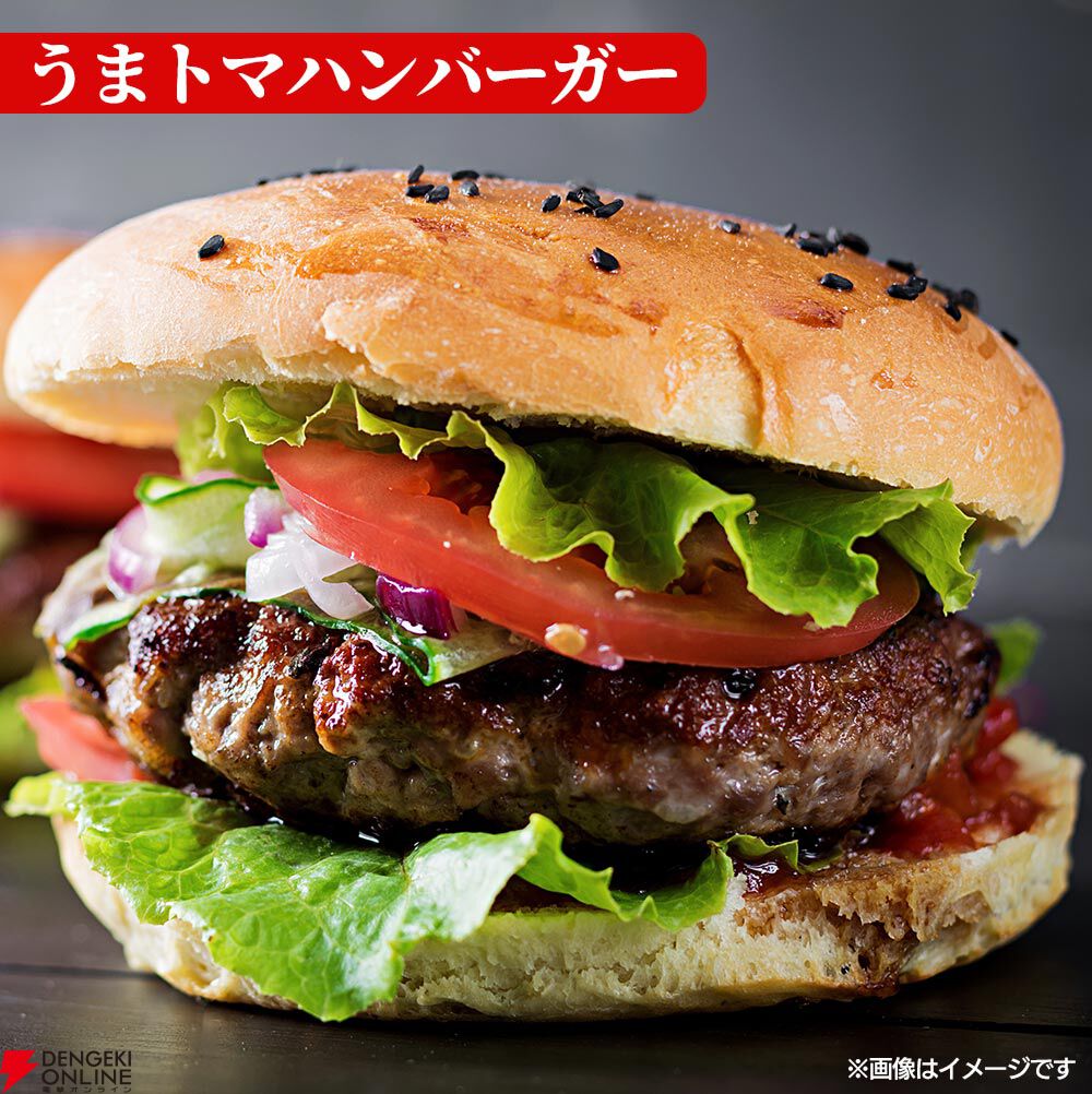 『うまトマハンバーグ12食』