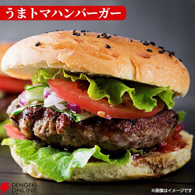 『うまトマハンバーグ12食』