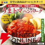 『うまトマハンバーグ12食』
