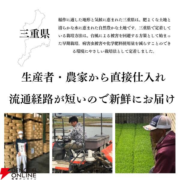 【お米半額】三重県産のコシヒカリ（5kg）が破格の2,682円！《楽天スーパーセール》