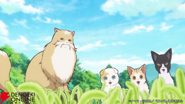 『猫と竜』