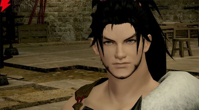 『ファイナルファンタジーXIV（FF14）』