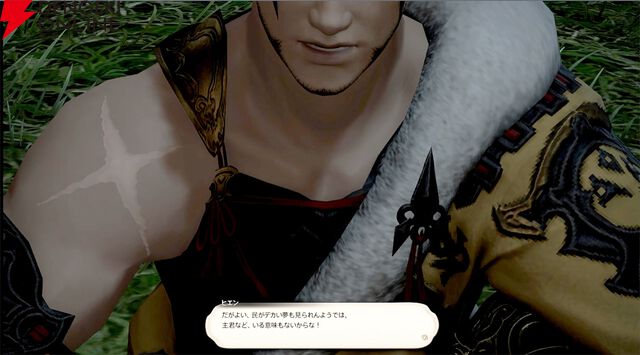 『ファイナルファンタジーXIV（FF14）』