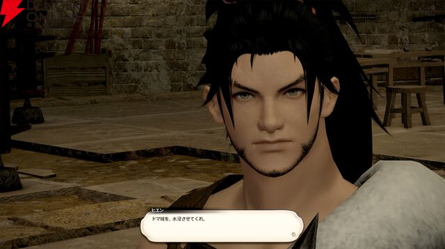 『ファイナルファンタジーXIV（FF14）』