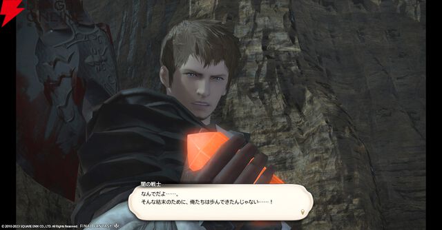 『ファイナルファンタジーXIV（FF14）』