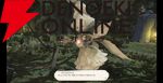 『ファイナルファンタジーXIV（FF14）』