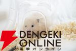 実写で究極の“甘やかされ”体験！ ハムスター転生AVG『ハムコイ』本日7/17配信開始。お得な10％オフセールも実施中