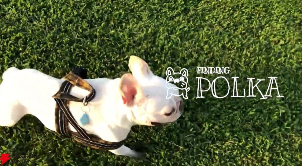 一歩進めば、何かが起こる。犬をさがすアドベンチャー『Finding Polka』Steamで8/12発売。ゲムダン13への出展も