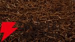 【苦行】500万本の干し草から1本の針を探し出せ。狂気のシミュレーター『Needle In A Haystack Simulator』マルチプレイも対応