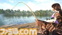 野良ネコ餌付けフィッシング『Fishing for cats』Steamで7/25発売。魚を貢いで猫と仲良くなれる