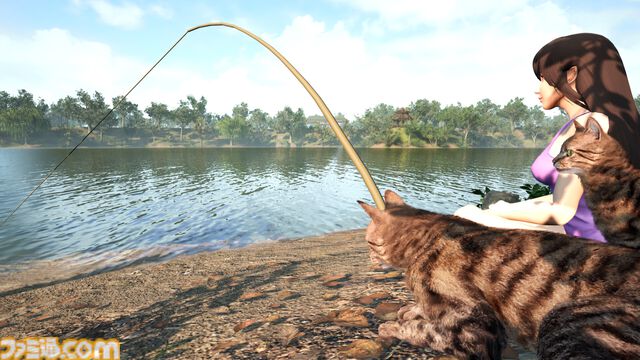 野良ネコ餌付けフィッシング『Fishing for cats』Steamで7/25発売。魚を貢いで猫と仲良くなれる