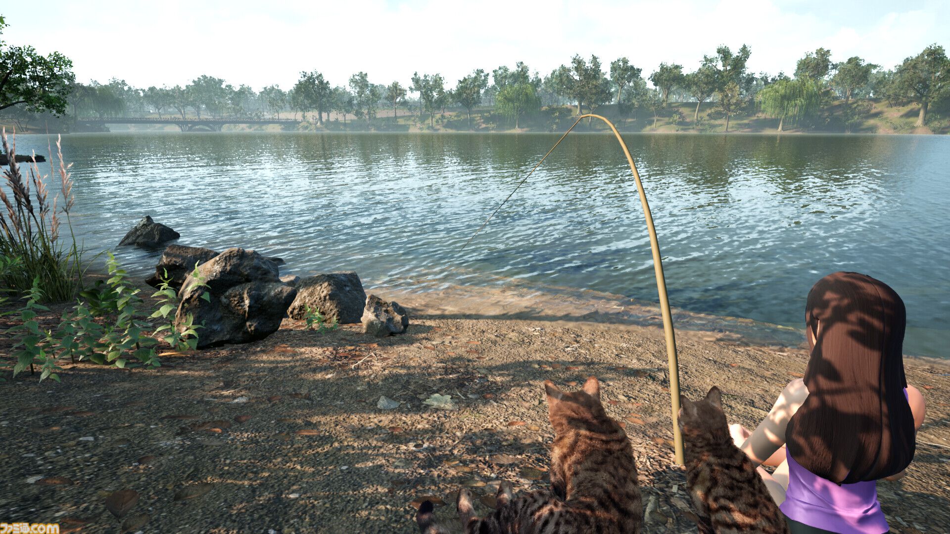 野良ネコ餌付けフィッシング『Fishing for cats』Steamで7/25発売。魚を貢いで猫と仲良くなれる