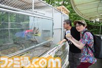『スーパーモンキーボール』が500万本も売れているのが信じられないので“バナナランブル”Pに理由を訊く。失礼だという自覚はあるけれど。