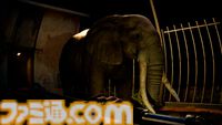 夜の動物園ホラー『Zoochosis』発売日が9月23日に決定。キリン、ペンギン、ゴリラ……愛らしい動物たちに擬態する変異体