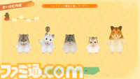 『箱庭開拓 ハムスターと太陽の里』Swtich向けに今年秋発売。石田彰や釘宮理恵ら豪華声優陣が"はむはむ"ボイスを担当したハムスターだらけの開拓シミュレーション