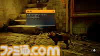 にゃんこアドベンチャー『Stray』Switchパッケージ版の発売日が11月19日に決定。特典多数同梱のコレクターズエディションや初回・店舗別特典も公開