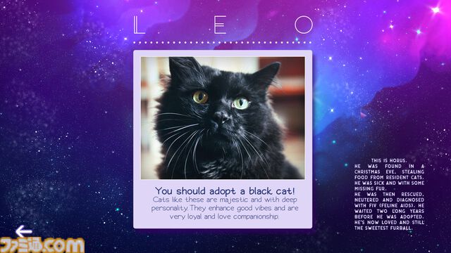 【にゃあ】“猫”をテーマとしたセールがSteamで8/23まで開催中。ネコが主役のゲーム、にゃんこが存在感を放つゲームがお買い得