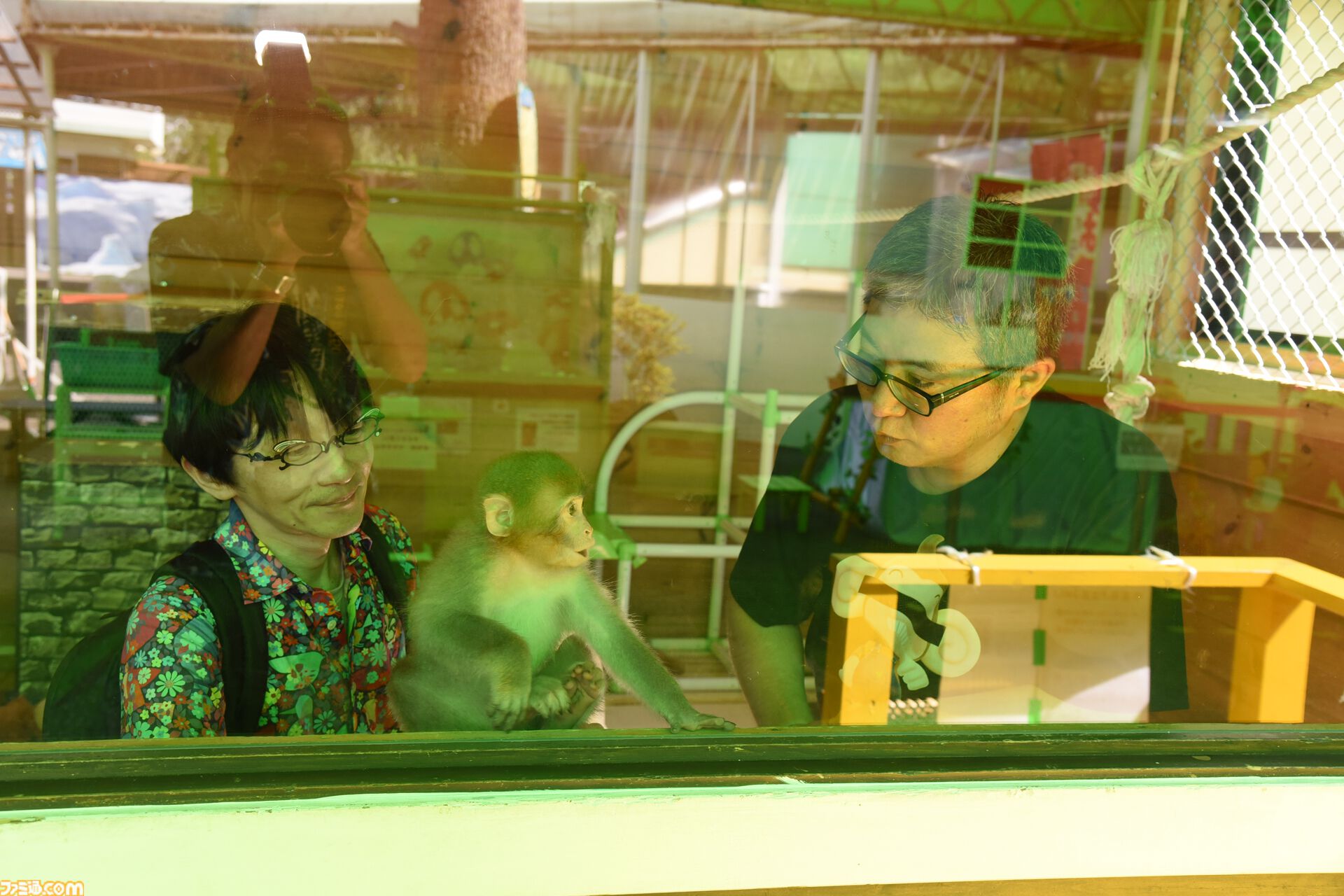 おじさんふたり、日光さる軍団のおさるランドではしゃぐ。子ざるには人間と動物の赤ちゃん両方のかわいさがあってどうにかなりそう