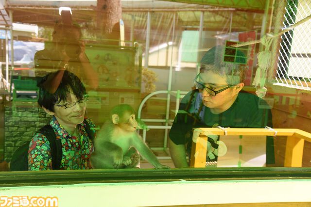 おじさんふたり、日光さる軍団のおさるランドではしゃぐ。子ざるには人間と動物の赤ちゃん両方のかわいさがあってどうにかなりそう