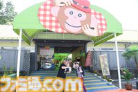 おじさんふたり、日光さる軍団のおさるランドではしゃぐ。子ざるには人間と動物の赤ちゃん両方のかわいさがあってどうにかなりそう