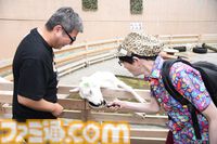 おじさんふたり、日光さる軍団のおさるランドではしゃぐ。子ざるには人間と動物の赤ちゃん両方のかわいさがあってどうにかなりそう