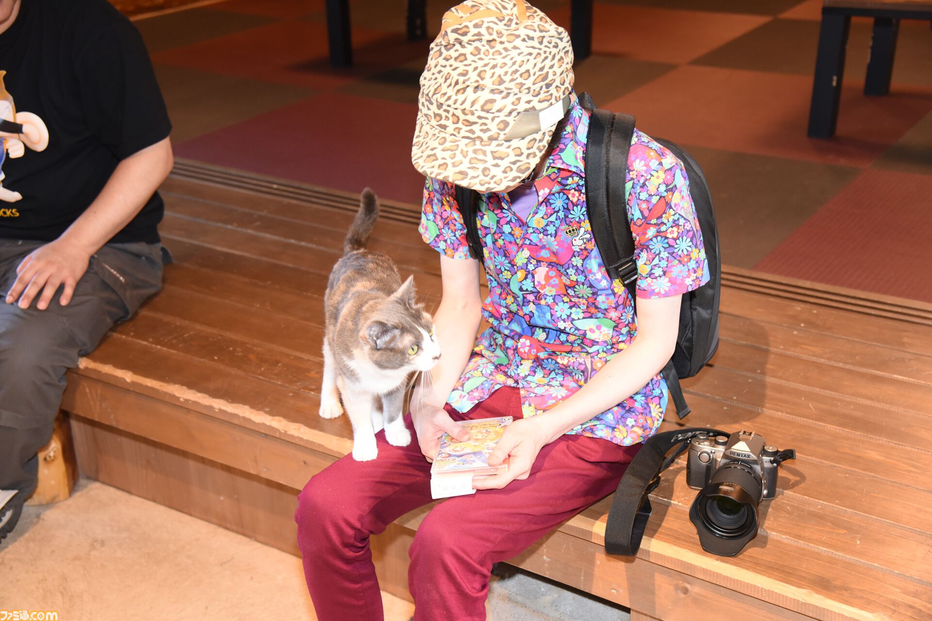 おじさんふたり、日光さる軍団のおさるランドではしゃぐ。子ざるには人間と動物の赤ちゃん両方のかわいさがあってどうにかなりそう