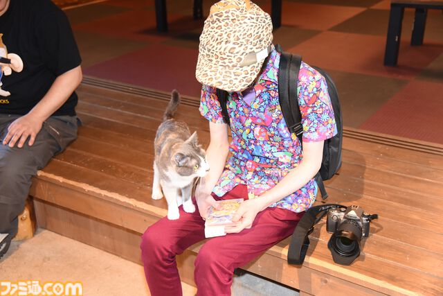 おじさんふたり、日光さる軍団のおさるランドではしゃぐ。子ざるには人間と動物の赤ちゃん両方のかわいさがあってどうにかなりそう