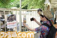 おじさんふたり、日光さる軍団のおさるランドではしゃぐ。子ざるには人間と動物の赤ちゃん両方のかわいさがあってどうにかなりそう