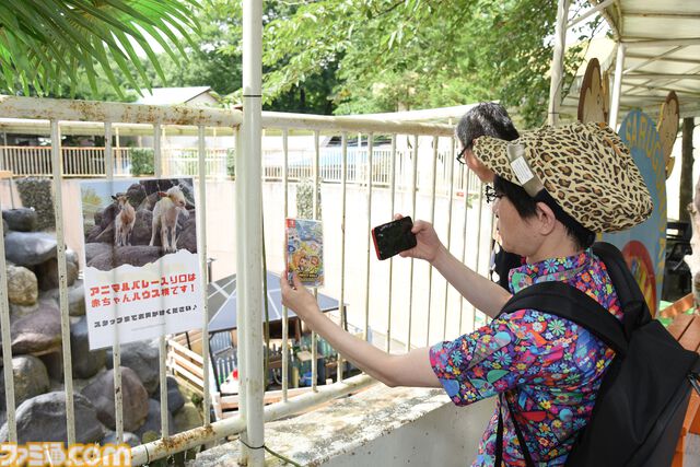 おじさんふたり、日光さる軍団のおさるランドではしゃぐ。子ざるには人間と動物の赤ちゃん両方のかわいさがあってどうにかなりそう