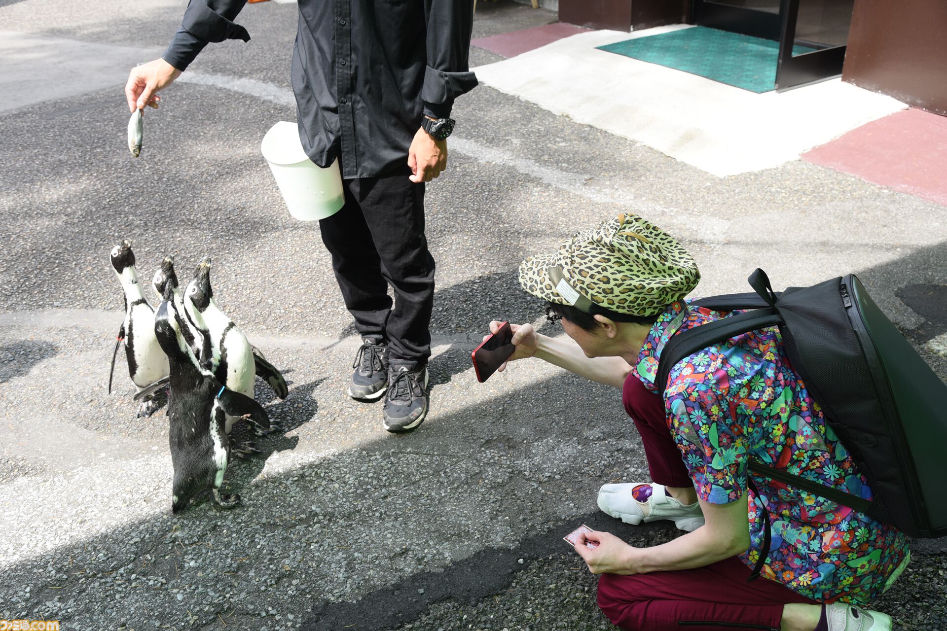 おじさんふたり、日光さる軍団のおさるランドではしゃぐ。子ざるには人間と動物の赤ちゃん両方のかわいさがあってどうにかなりそう