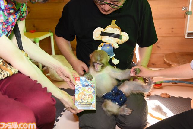 おじさんふたり、日光さる軍団のおさるランドではしゃぐ。子ざるには人間と動物の赤ちゃん両方のかわいさがあってどうにかなりそう