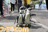 おじさんふたり、日光さる軍団のおさるランドではしゃぐ。子ざるには人間と動物の赤ちゃん両方のかわいさがあってどうにかなりそう