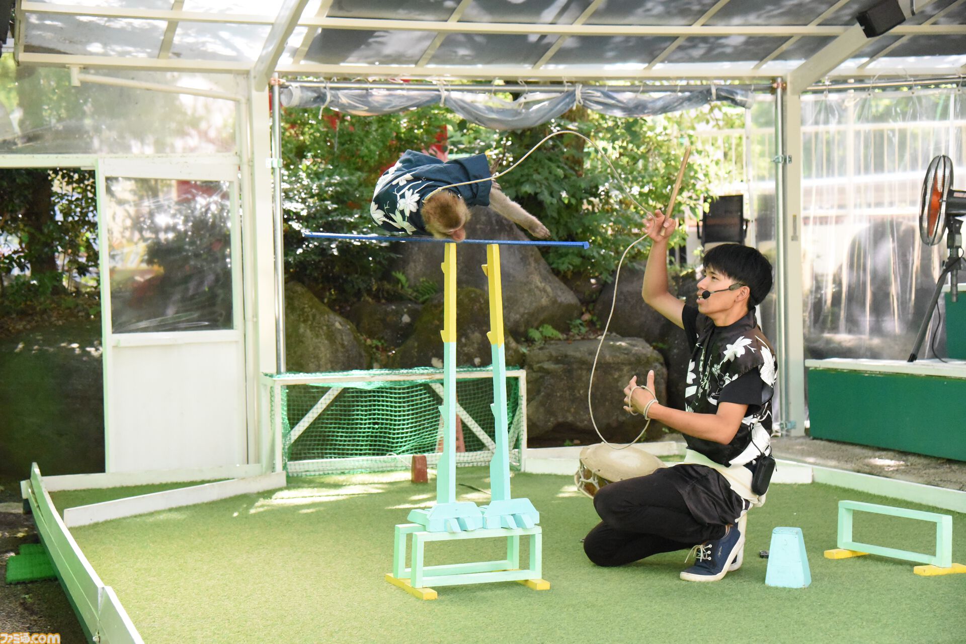 おじさんふたり、日光さる軍団のおさるランドではしゃぐ。子ざるには人間と動物の赤ちゃん両方のかわいさがあってどうにかなりそう