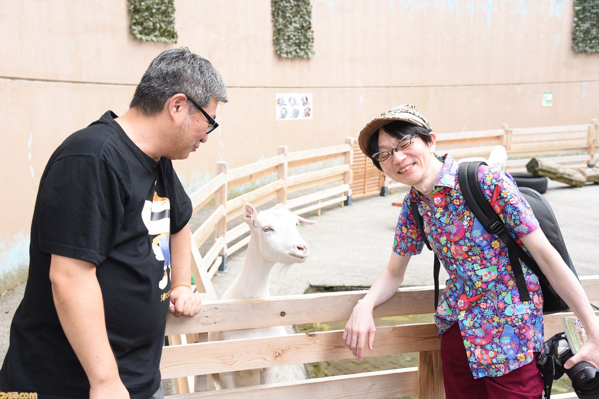 おじさんふたり、日光さる軍団のおさるランドではしゃぐ。子ざるには人間と動物の赤ちゃん両方のかわいさがあってどうにかなりそう