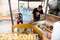 おじさんふたり、日光さる軍団のおさるランドではしゃぐ。子ざるには人間と動物の赤ちゃん両方のかわいさがあってどうにかなりそう