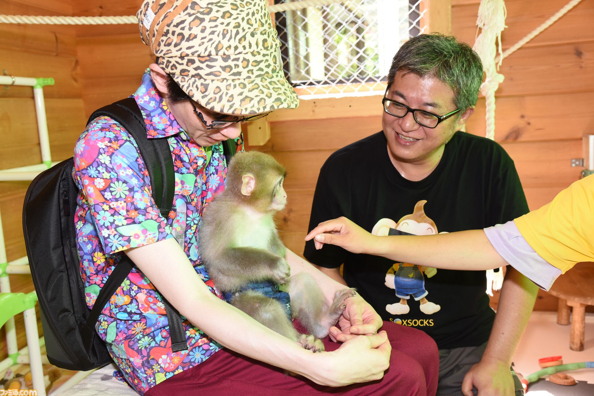 おじさんふたり、日光さる軍団のおさるランドではしゃぐ。子ざるには人間と動物の赤ちゃん両方のかわいさがあってどうにかなりそう