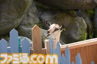 おじさんふたり、日光さる軍団のおさるランドではしゃぐ。子ざるには人間と動物の赤ちゃん両方のかわいさがあってどうにかなりそう