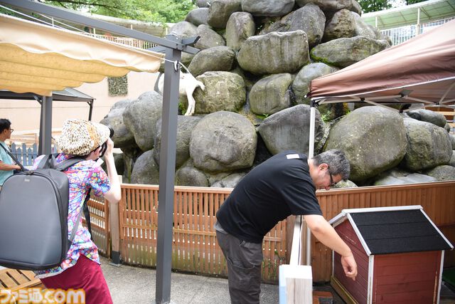 おじさんふたり、日光さる軍団のおさるランドではしゃぐ。子ざるには人間と動物の赤ちゃん両方のかわいさがあってどうにかなりそう