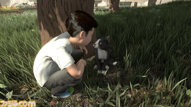 『偽猫物語』がSteamにて9月20日発売決定。猫が“家”の本当の意味を見つけ出す旅に出る、癒やしのアドベンチャーゲーム